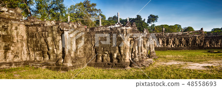 Bas-relief at Terrace of the Elephants 48558693