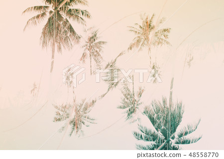 Natural geometrical decor art palm Pattern Toned 48558770