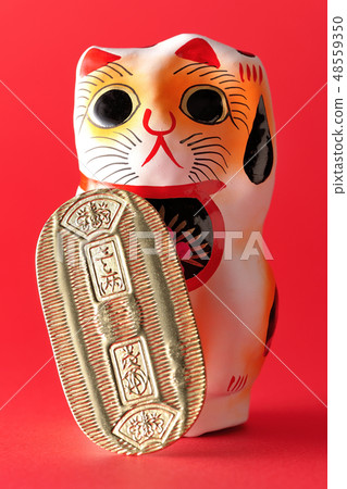 貓和賠率 48559350