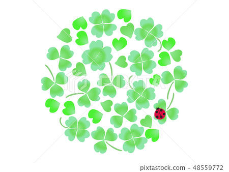 三葉草白三葉草白色扁豆 48559772