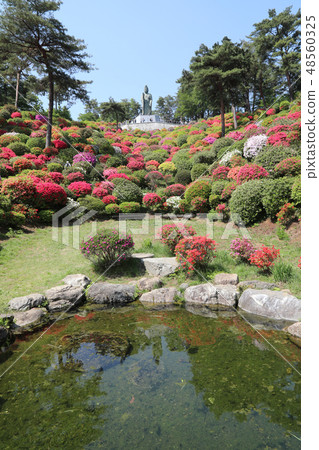 Azalea Festival 48560325