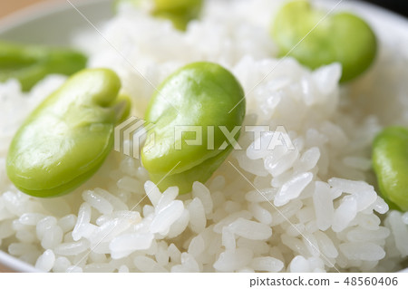 Japanese beef rice Japanese beef rice 48560406
