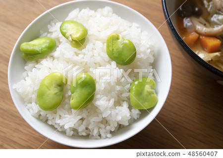 Japanese beef rice Japanese beef rice 48560407
