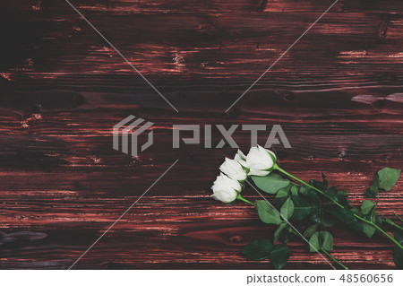 Valentine love card fresh rose and heart on wooden 48560656