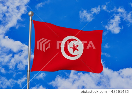 Flag of Tunisia Flag 48561485