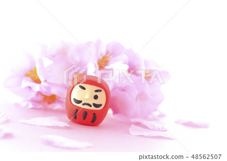 Daruma and Sakura 48562507