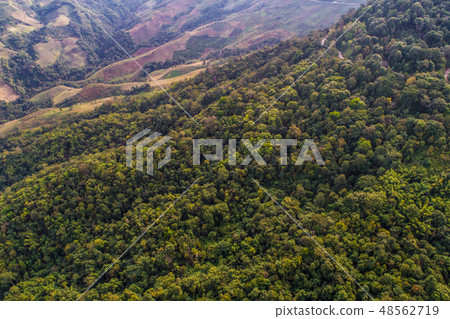 Mountain green tropical forest aerial view 48562719
