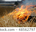 Burning 48562797