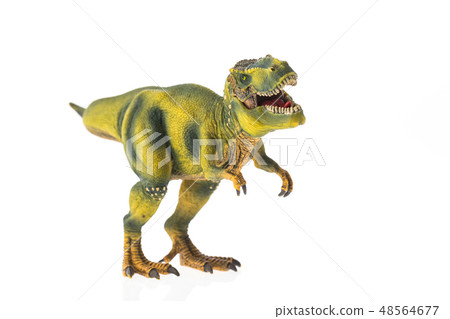 恐龍暴龍 恐龍暴龍 48564677