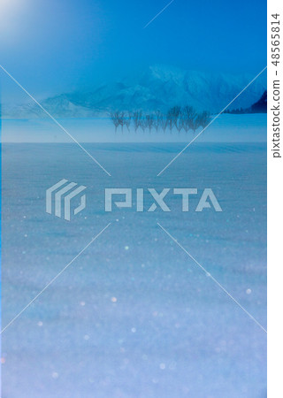 Ikehigahara Inage tree 48565814