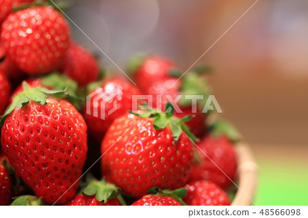 Ichigo image 48566098