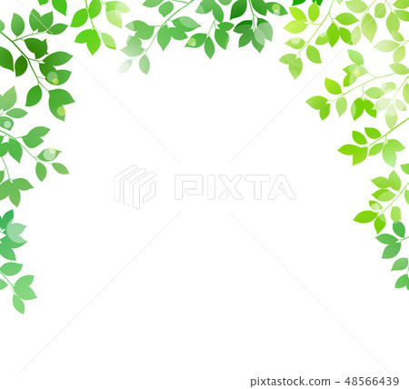 Image of fresh green leaves on white background - Stock Illustration ...