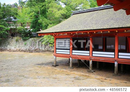 Itsukushima Shrine, Miyajima, Japan Itsukushima Shrine, Miyajima, Japan 48566572