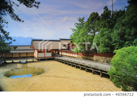 sacred Shinto shrine in Japan. 48566722