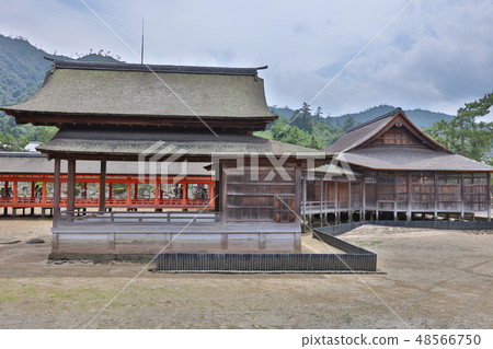 near Itsukushima shinto shrine in Miyajima 48566750