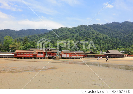 halls of Itsukushima Shrine on Miyajima Island 48567738