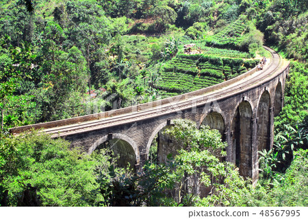 Nine Arches Bridge in jungle, Sri Lanka Nine Arches Bridge in jungle, Sri Lanka 48567995