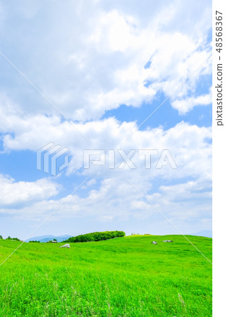 Refreshing highland landscape 48568367