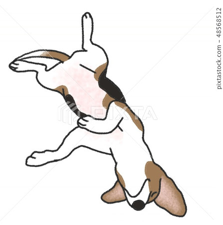 睡狗（比格犬）的插圖 48568512