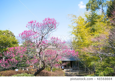 Fuchu City Local Forest Museum, Tokyo Umeen Fuchu City Local Forest Museum, Tokyo Umeen 48568664
