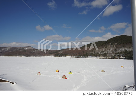 Fishing fly of Lake Iwaki Fishing fly of Lake Iwaki 48568775
