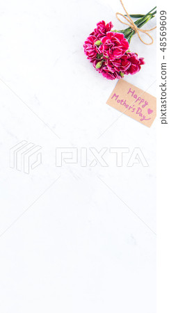 Mother's Day Yasuno Kaoru Sendoku Katona Top View Mockup Mother's Day carnation 48569609
