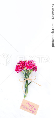 Mother's Day Yasuno Kaoru Sendoku Katona Top View Mockup Mother's Day carnation Mother's Day Yasuno Kaoru Sendoku Katona Top View Mockup Mother's Day carnation 48569673