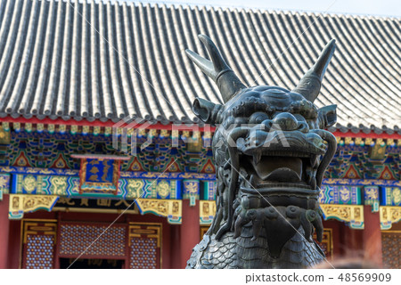 中國北京旅遊景點頤和園 中国北京観光スポット Summer Palace Beijing 仁壽殿 中國北京旅遊景點頤和園 中国北京観光スポット Summer Palace Beijing 仁壽殿 48569909