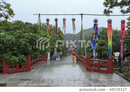 Tsuruoka Hachimangu Shrine 48570327