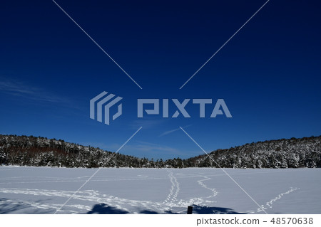 Shirakawa Pond 48570638