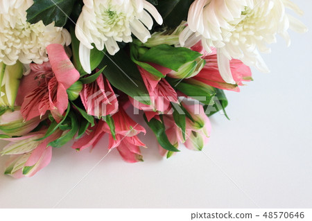 供應鮮花 供應鮮花 48570646