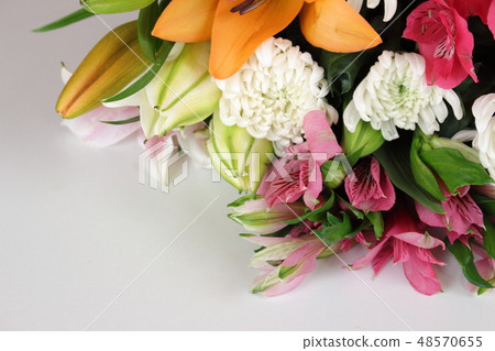 供應鮮花 供應鮮花 48570655