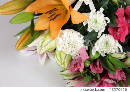 供應鮮花 供應鮮花 48570656