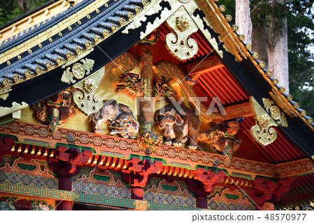 Imaginary statue of Toshogu Imaginary statue of Toshogu 48570977