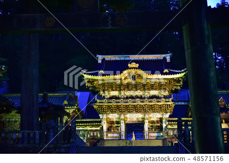 Toshogu Shrine Yomei門，點亮 48571156