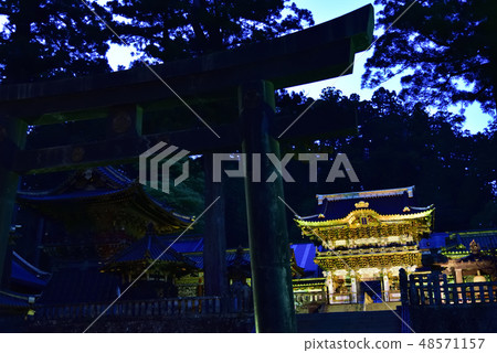 Toshogu Shrine Yomei門,點亮 Toshogu Shrine Yomei門,點亮 48571157