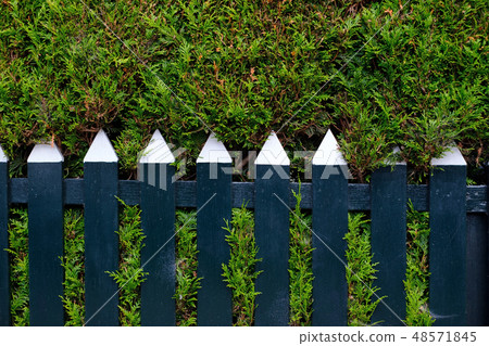 Wooden fence of blue laths. Wooden fence of blue laths. 48571845