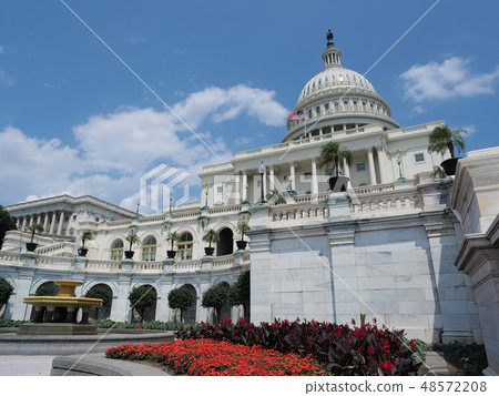 Washington D.C. United States Capitol / United States Capitol 48572208
