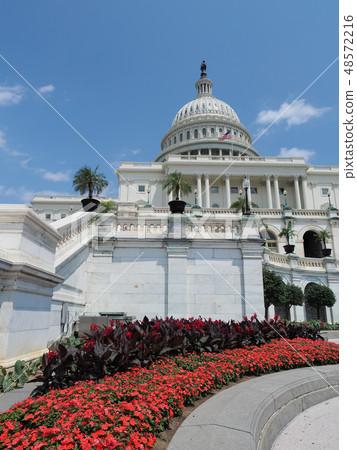 Washington D.C. United States Capitol / United States Capitol 48572216