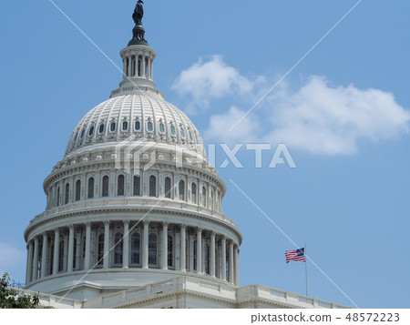 Washington D.C. United States Capitol / United States Capitol 48572223