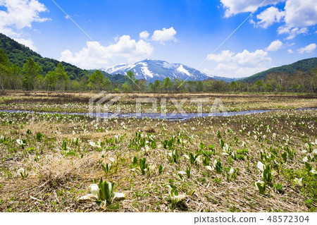 Mizubasho blooming wetland and Mt. Foshan 48572304