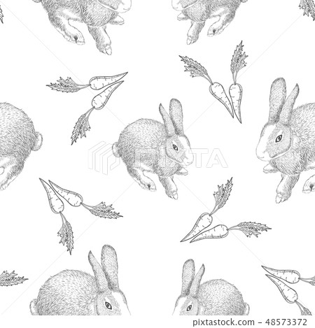 hand drawn hares with carrots. hand drawn hares with carrots. 48573372