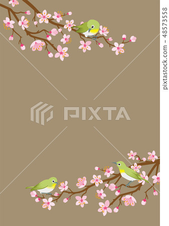 Sakura branches and the upper and lower frames 48573558