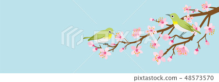 Two sticks that stick to the branches of cherry blossoms Blue sky background 48573570