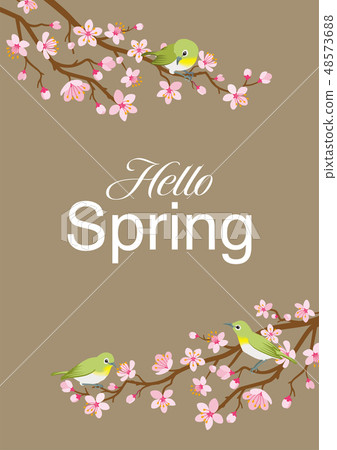 Hello Spring with cherry branches and mezza up and down frame letters Hello Spring with cherry branches and mezza up and down frame letters 48573688