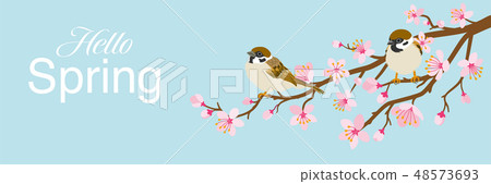 Hello Spring blue sky background with two sparrow characters stuck in a branch of cherry blossoms 48573693