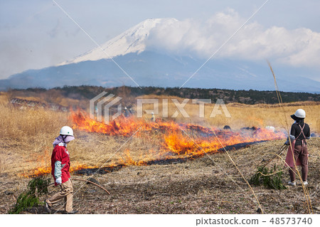 Field burn and Mt. Fuji in Asagiri Heights, Shizuoka prefecture Field burn and Mt. Fuji in Asagiri Heights, Shizuoka prefecture 48573740