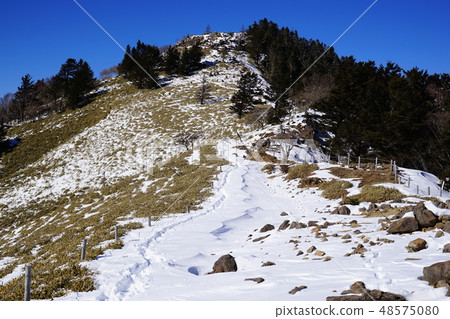 Big Boss Sister from the Majusodesugu Pass Big Boss Sister from the Majusodesugu Pass 48575080