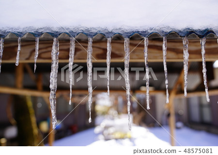 Ice column of Fukuchan 48575081