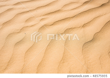Close up sand texture of sand dune for background 48575935